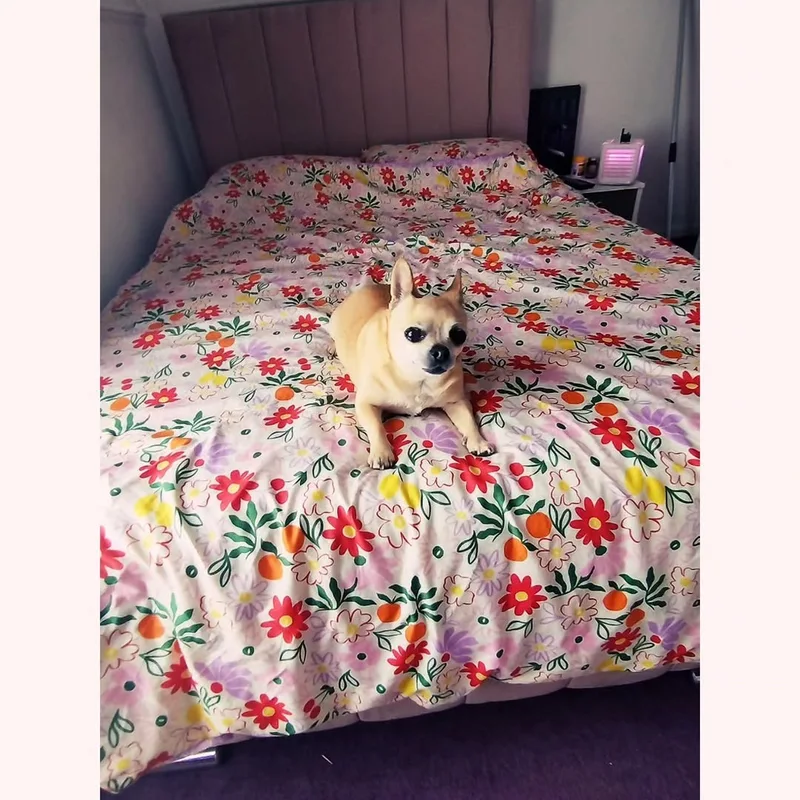 Anna's Dog Walking and Sitting project 4