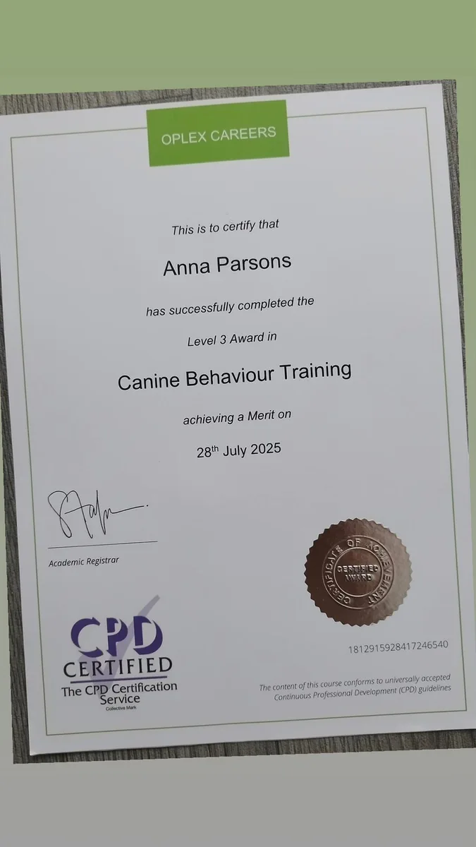 annas_dogwalkingand_sitting qualification 4