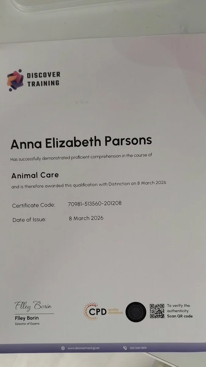 annas_dogwalkingand_sitting qualification 5