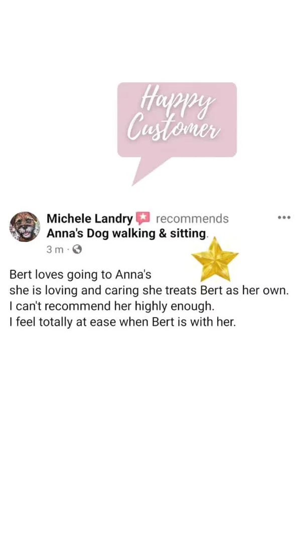 Customer testimonial